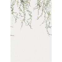 Fototapeta liście bluszczu Sandberg 640-04 Aralia Moss Green Huset i Solen