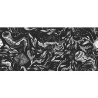 Fototapeta morskie rośliny i zwierzęta Tecnografica 73684-1 FEANNE: SEALIFE BLACK Art Collections