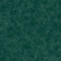 Tapeta jak stiuk beton Caselio PAE 100227979 Patine 2