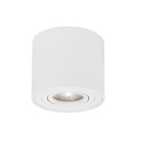 Lampa oczko sufitowe Luces Exclusivas CARRIZAL LE61428
