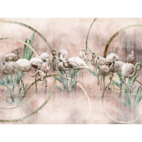 Fototapeta flamingi Wallcraft Flamingo 665322202