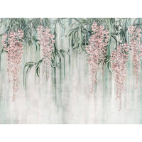 Fototapeta kwiaty wisterii Wallcraft Wisteria 680322202
