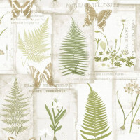 Tapeta zielnik paprocie i motyle Galerie FK34415 Fresh Kitchens 5