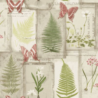 Tapeta zielnik paprocie i motyle Galerie FK34416 Fresh Kitchens 5