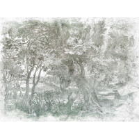 Fototapeta botaniczny krajobraz Wallcraft Elav 605322201