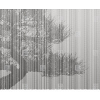 Fototapeta drzewo London Art 20016-04 Plague Exclusive Wallpaper 2022 Iconic Re-Edition