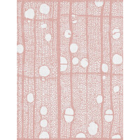 Tapeta Łazienkowa Londonart 20516 03 Fibra GlassWallpaper 2020