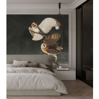 Mural sowy Owls 4460 Wallcolors