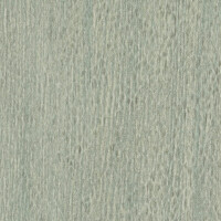 Tapeta imitująca drewno Elitis VP936 10 Gouge Bois Sculpte
