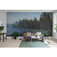 Tapeta Rebel Walls R16421 Forest Lake