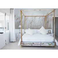 Fototapeta Rebel Walls R13602 Swaying Reed