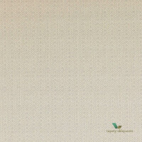 Tapeta Colefax and Fowler 07180/06 Ormondo Textured Wallpapers