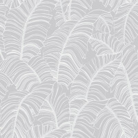 Tapeta Liście Bananowca Galerie G78298 Bazaar