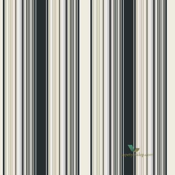Tapeta Galeria G67527 Smart Stripes 2