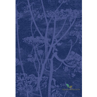 Tkanina kwiaty kopru welur Cole&Son Cow Parsley Velvet F111/5016 The Contemporary Collection