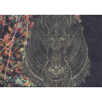 Tapeta Małpa Tecnografica 61024 Baboon Black