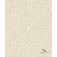 Tapeta Decoprint Passenger TP21280
