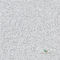 Tapeta Designers Guild PDG1031/04 Pavonazzo Tulipa Stellata