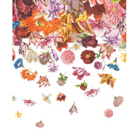Mural w kwiaty Hohenberger 18003 Flower Rain Tropical