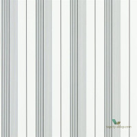 Tapeta Ralph Lauren PRL020/09 Aiden Stripe