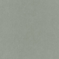 Tapeta jak bawełna Casadeco COTO 82387117 Florescence Kiosque Cotton Touch