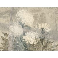 Fototapeta kwiaty chryzantemy Wallcraft Floss 580 33 2201
