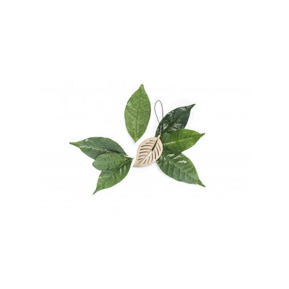 The Leaf Zielona Herbata i Bergamotka - pachnąca zawieszka do samochodu