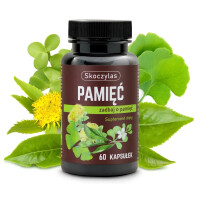 PAMIĘĆ miłorząb, bakopa, ginkgo biloba, różeniec