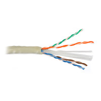 Skrętka UTP/K6/305 kat.6 Netset [na metry]