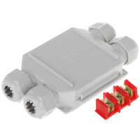 Puszka połączeniowa Gelbox BOB4 RayTech