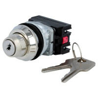 NEF30-BXY PROMET, Schalter: Drehschalter mit Schlüssel