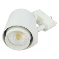 LTR-019-40-W LEDDEX, Lampe: LED