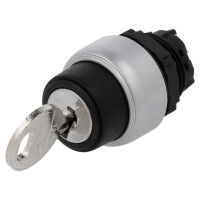 LPCS320 LOVATO ELECTRIC, Schalter: Drehschalter mit Schlüssel