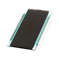 DE 131-RU-30/8,4 DISPLAY ELEKTRONIK, Display: LCD (DE131-RU-30/8.4)