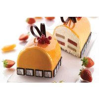 Forma na moučníky, rolády a zmrzlinové kreace BUCHE/1 | SILIKOMART, Buche