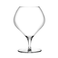 Pohár na cognac 725 ml | PASABAHCE, Fantasy