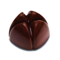 Tritanová forma na pralinky - 21 ks, 28x28x18 mm, 10 gr - PC65FR | PAVONI, Bonbons