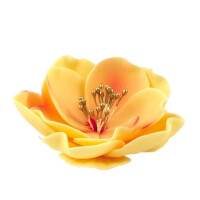 Kvet jícnovky malý z cukru 8 cm, tealová | MAGMART, K 013M