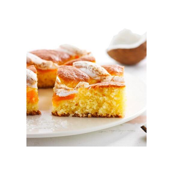 Tortová zmes - piškótový korpus s kokosom, 15 kg | ZEELANDIA, 1HC.Z016.01P.0150A