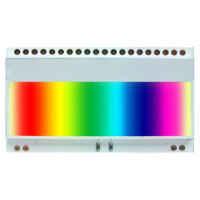 EA LED55X31-RGB DISPLAY VISIONS, Backlight (EALED55X31-RGB)