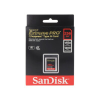 SDCFE-256G-GN4NN SANDISK, Memory card