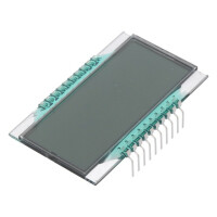 DE 161-RS-20/7,5 (3 VOLT) DISPLAY ELEKTRONIK, Display: LCD (DE161-RS-20/7.5-3)