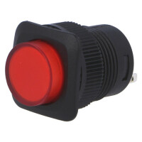 R13-508A-05-BR SCI, Switch: push-button (R13508A05BR)
