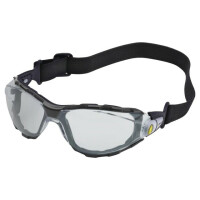 PACAYLVSTIN DELTA PLUS, Safety goggles (DEL-PACAYLVSTIN)