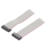 DS1052-262B2MA206001 CONNFLY, Ribbon cable with IDC connectors (DS1052-262B2MA2060)