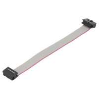 DS1052-102B2NA201501 CONNFLY, Ribbon cable with IDC connectors (DS1052-102B2NA2015)