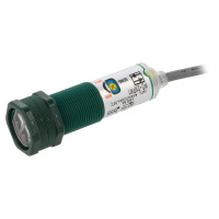 WO-DNPW1 HIGHLY ELECTRIC, Sensor: photoelectric