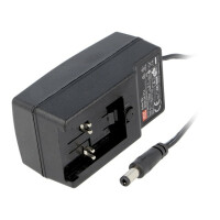 GE30I24-P1J MEAN WELL, Power supply: switched-mode
