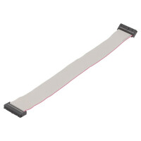 DS1052-262B2MA203001 CONNFLY, Ribbon cable with IDC connectors (DS1052-262B2MA2030)