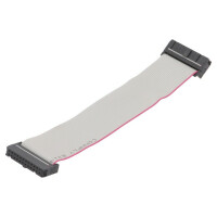DS1052-242B2MA201501 CONNFLY, Ribbon cable with IDC connectors (DS1052-242B2MA2015)